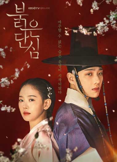 ดูซีรี่ย์ Bloody Heart (2022) ซับไทย EP.1-16 จบ
