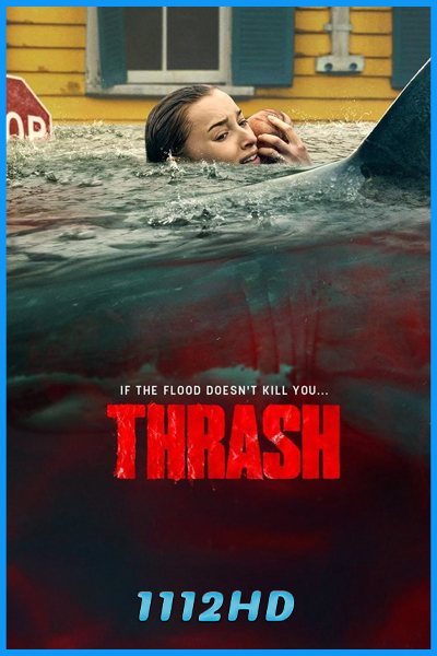 ดูหนัง ฉลามคลั่ง ทะเลเดือด Thrash (2026) เต็มเรื่อง พากย์ไทย