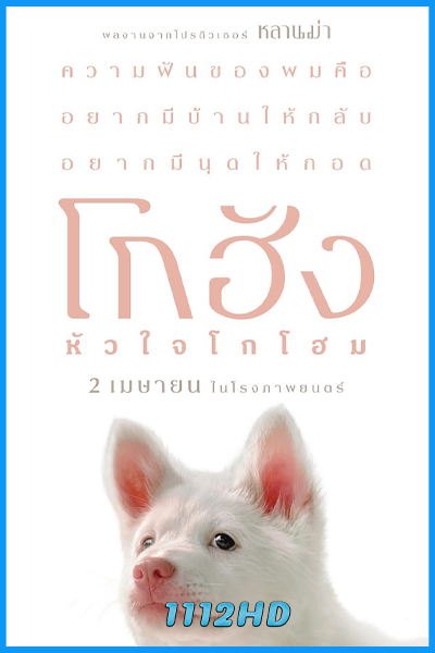 ดูหนัง โกฮัง หัวใจโกโฮม Gohan (2026) HD-เต็มเรื่อง